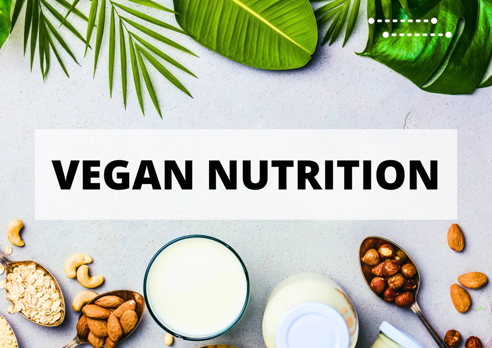 afisa vegan nutrition